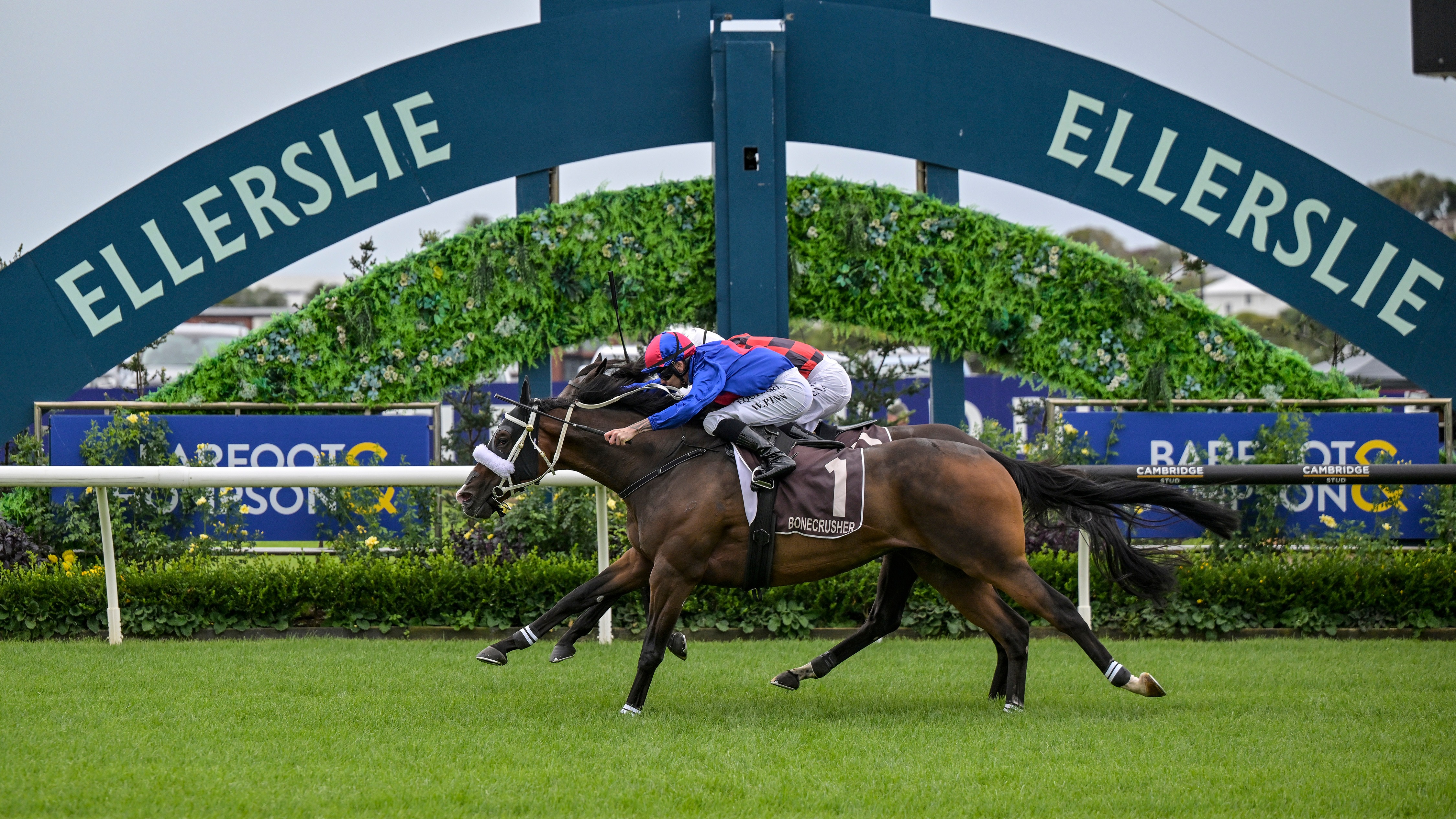 El Vencedor wins the Bonecrusher New Zealand Stakes