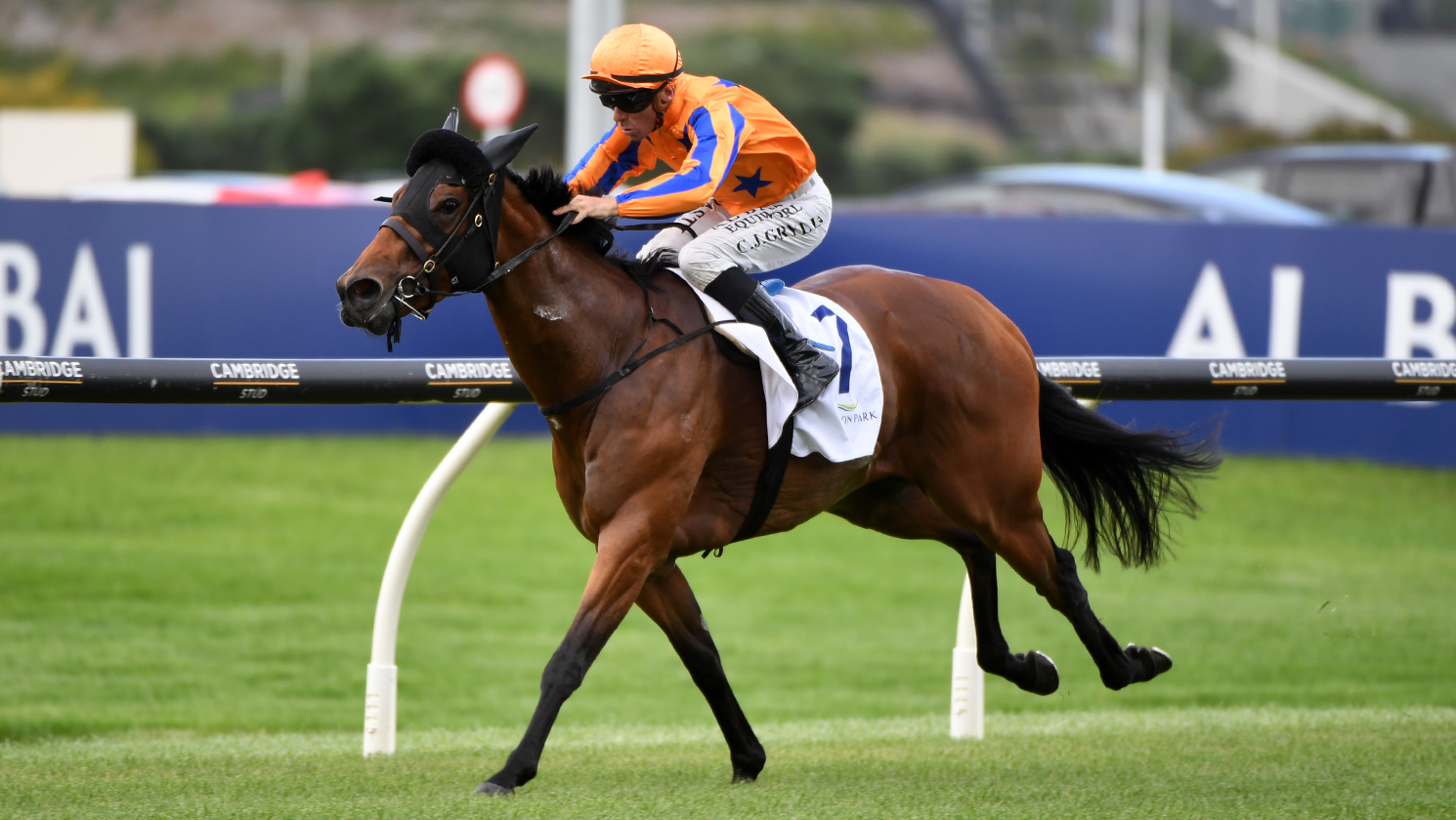 Charmrose proves too quick at Ellerslie