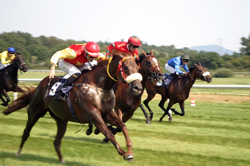 horse-7