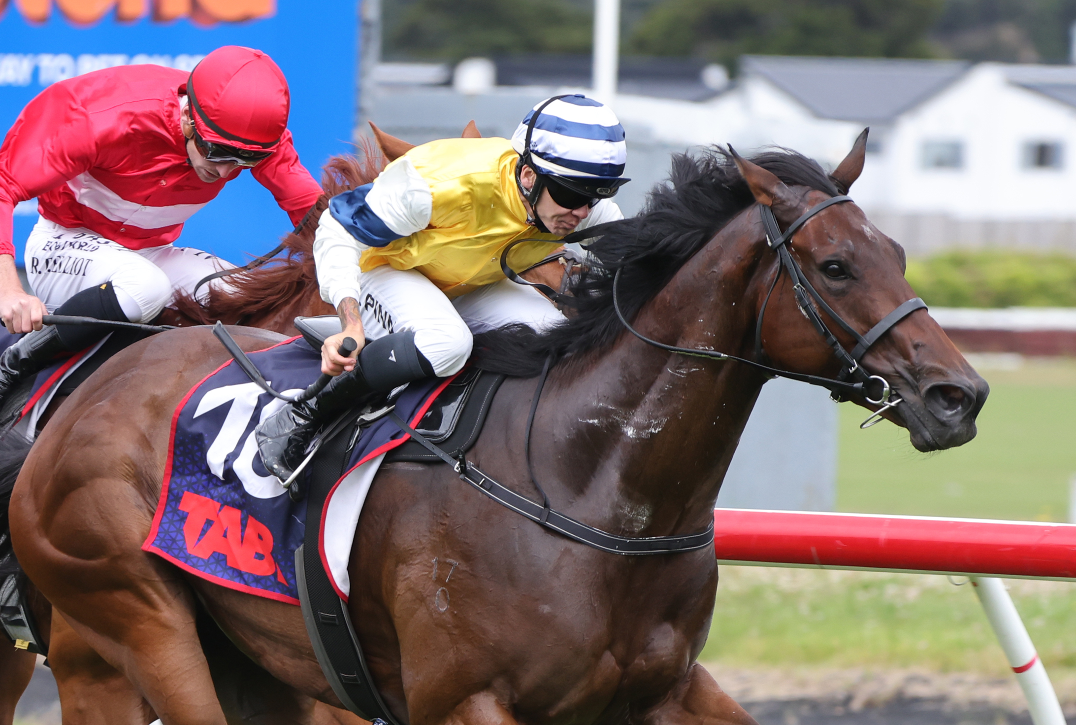Less travel time to suit Group One hope Tomodachi