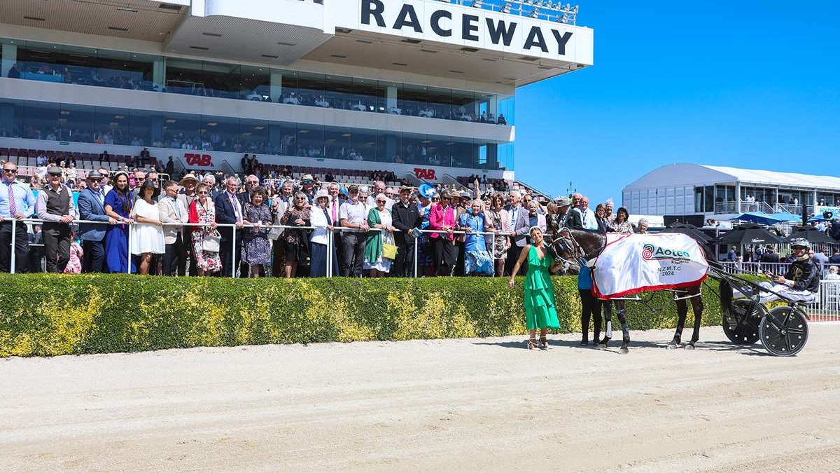 The Lazarus Effect winning at Addington On NZ Cup Day - November 12th 2024