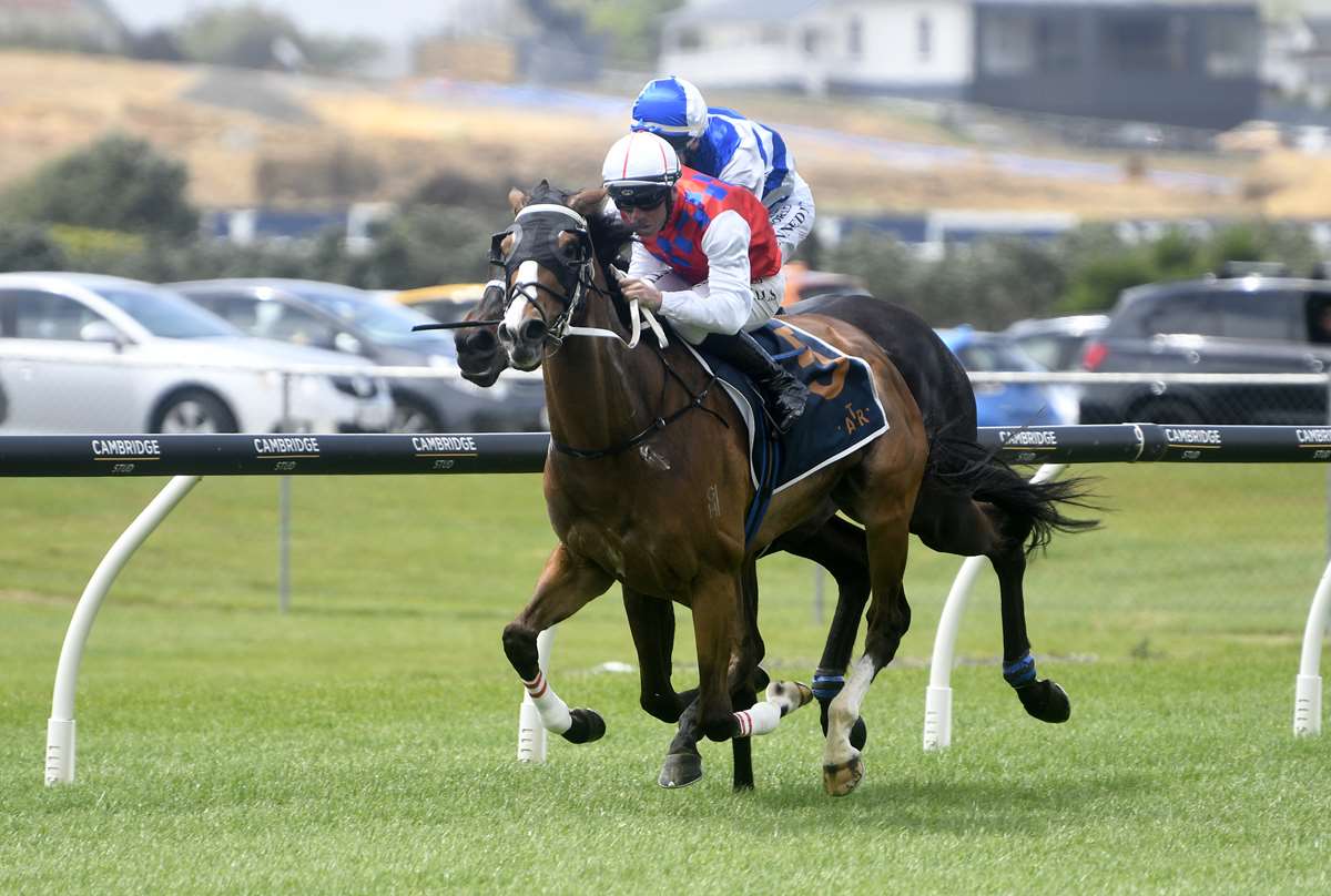 Confidence in Kattegat’s Cup chances at Otaki
