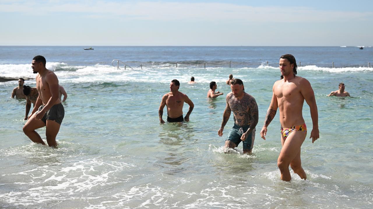 The Sharks