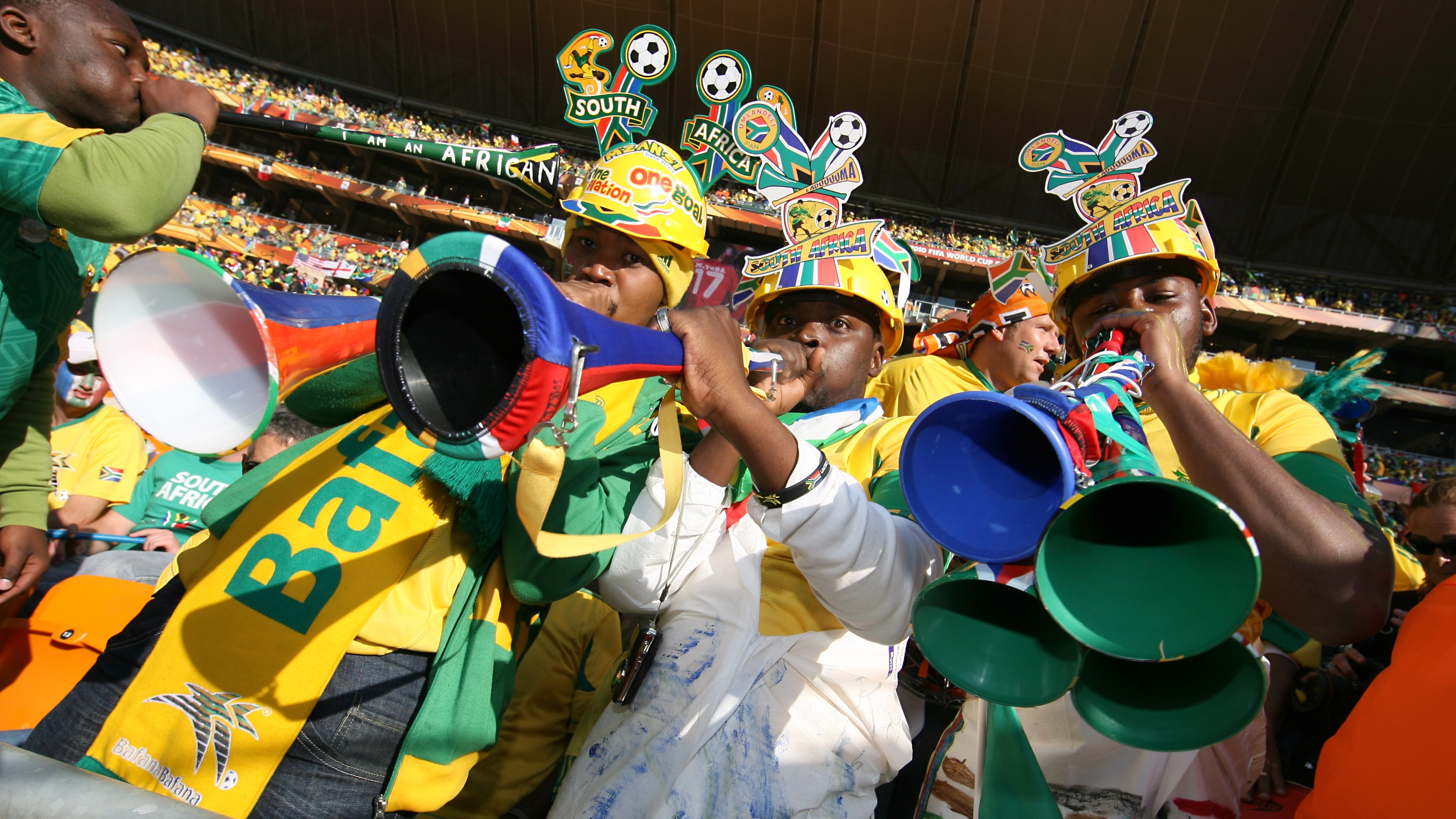 South Africa fans at the 2010 FIFA World Cup