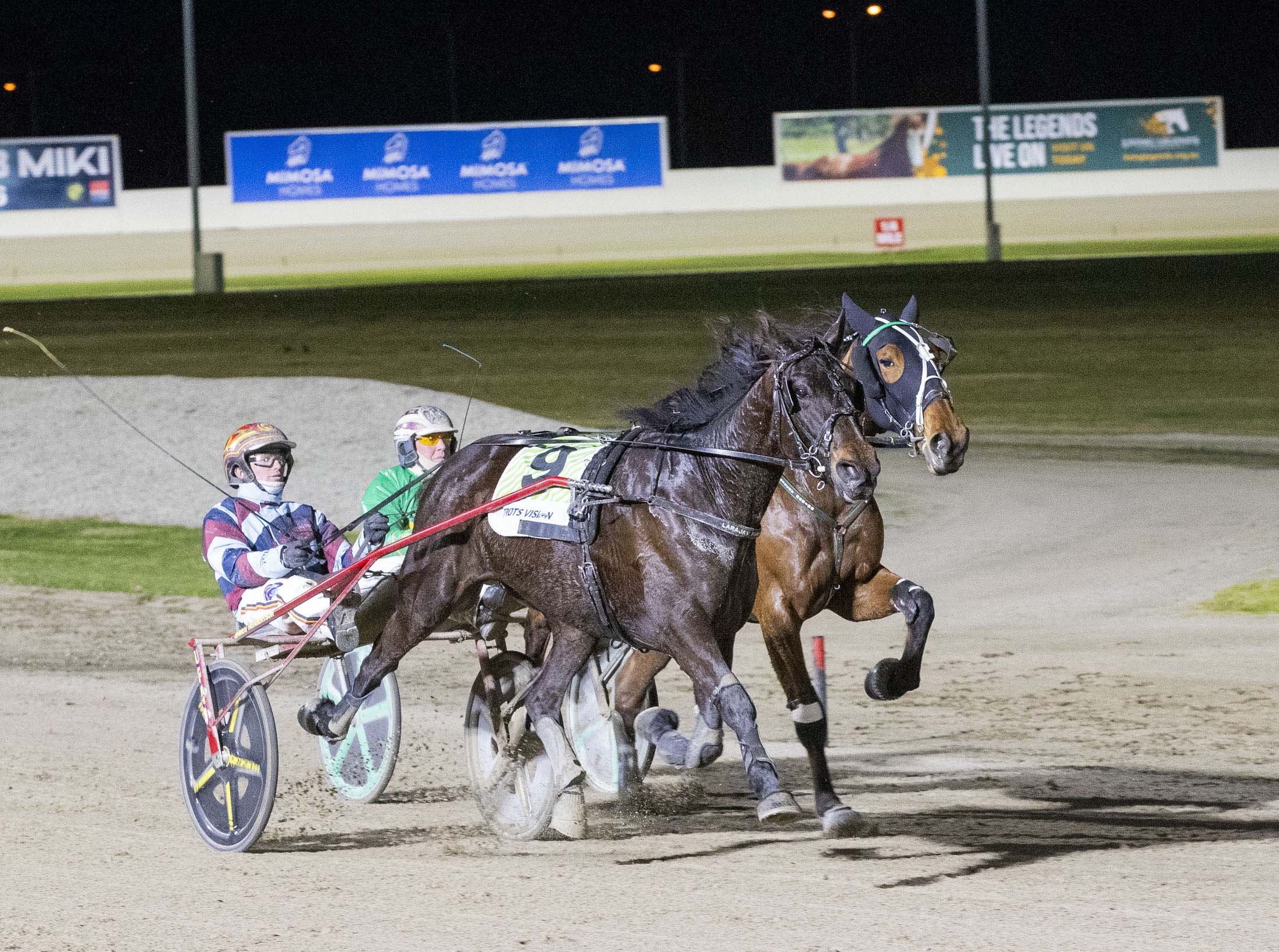 Harness Racing 2025: Herbertson and Tubbs shine with double at Melton