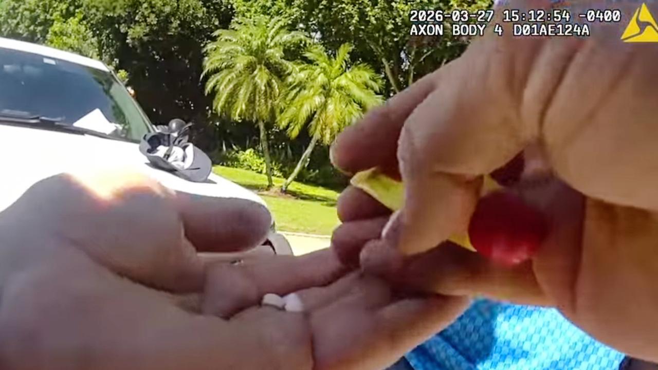 76b6813f-3d75-4449-a7a1-2342f7495fbd