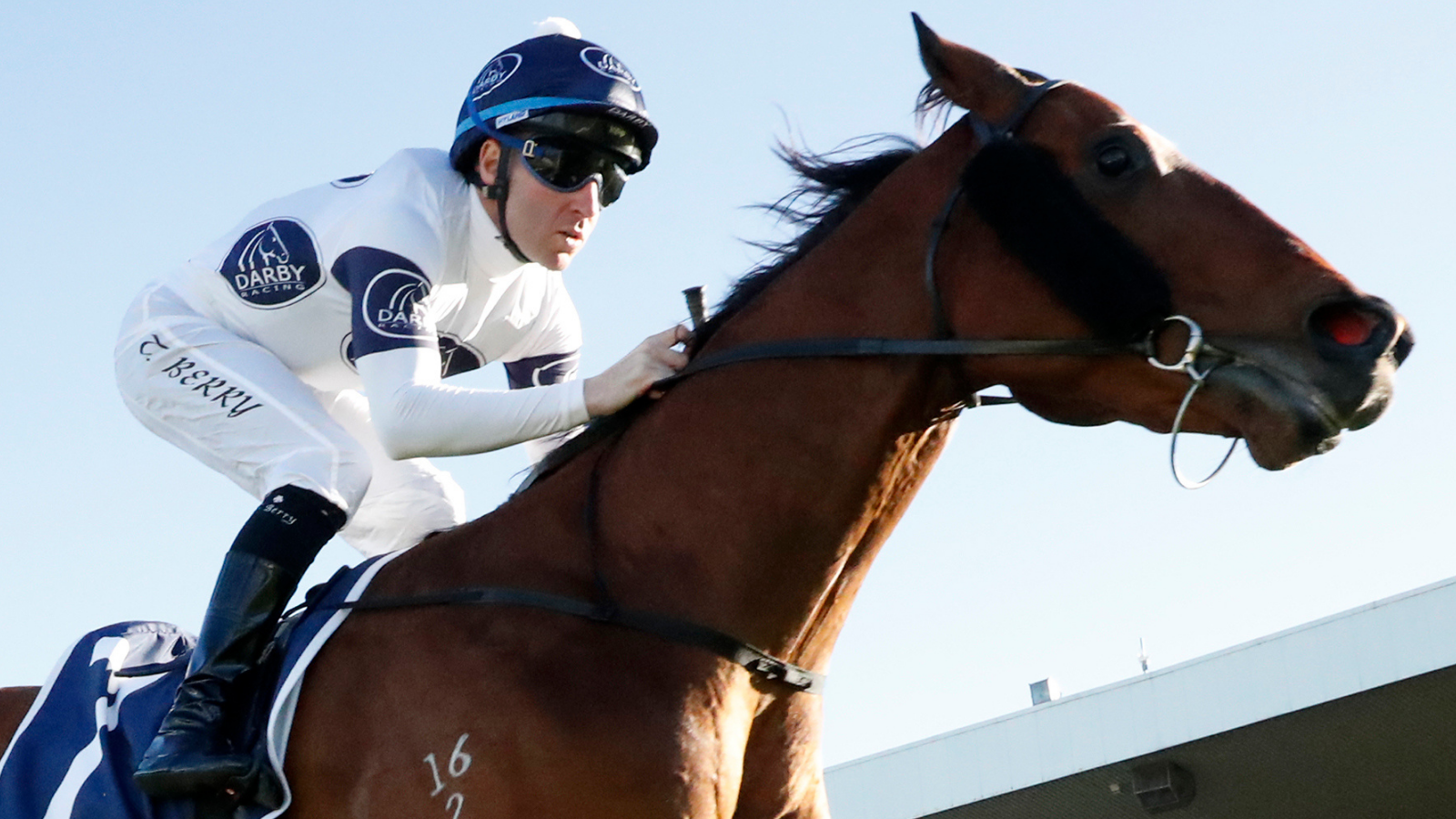 Tom Derry Racing Horse Racing 2025: Tommy Berry breaks silence on suspension