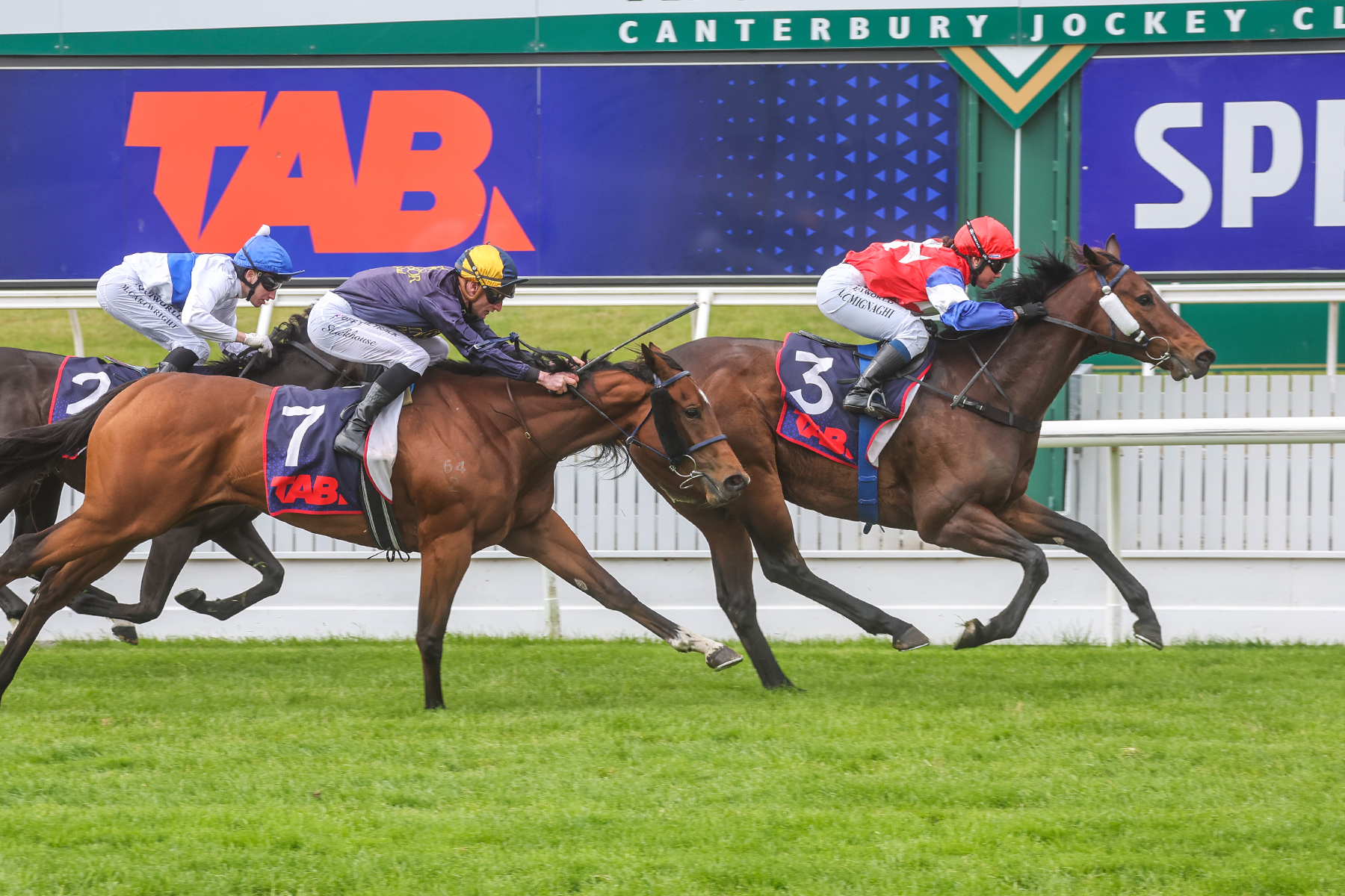 Magical Races 6 Well-bred galloper weaves his Magic