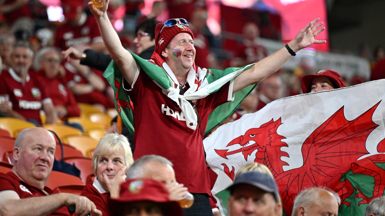 Lions Supporters 2025 Crowd
