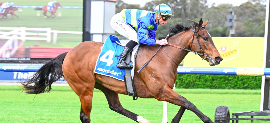 Horse racing tips: Autumn futures, Oakleigh Plate, Blue Diamond, Golden ...