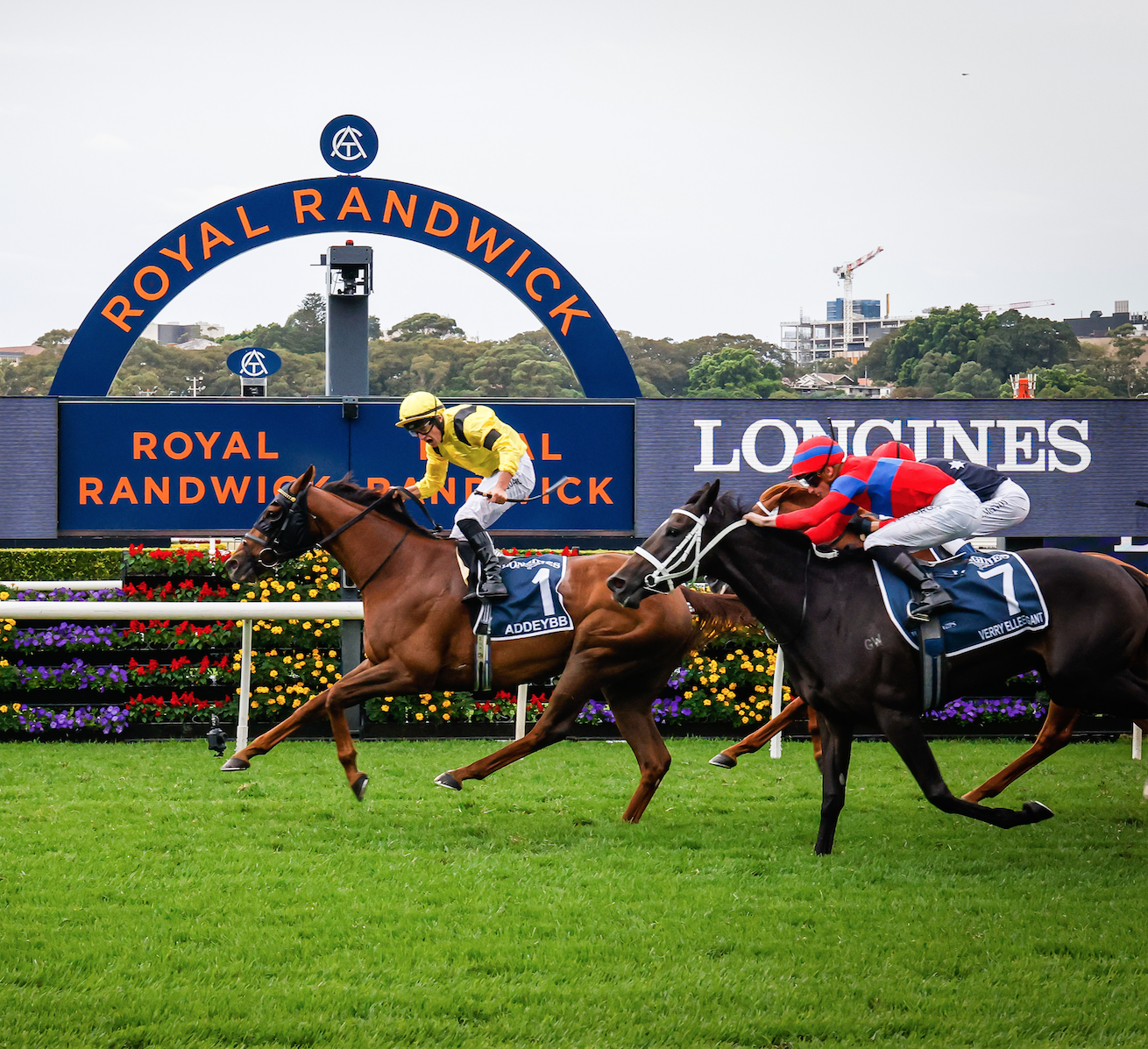 Horse racing tips: Nick and Travis Noonan RSN tips Saturday
