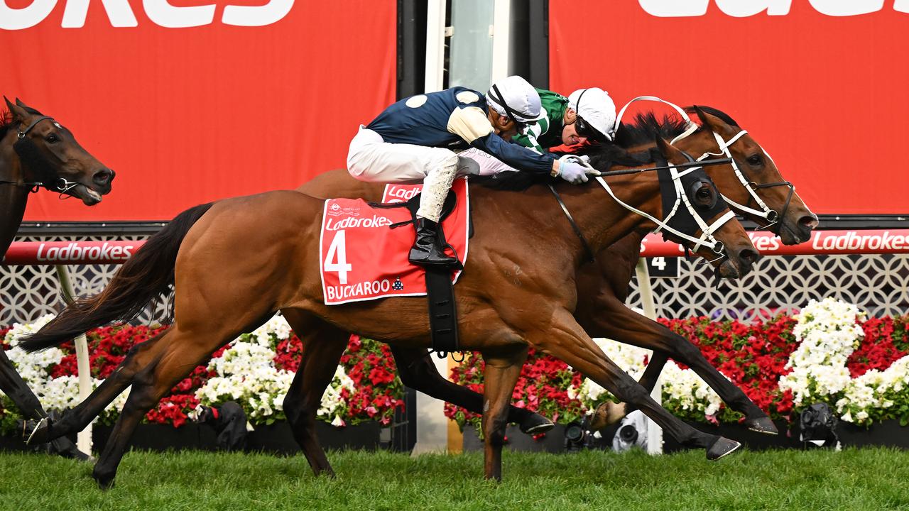 Via Sistina James McDonald Cox Plate beating Buckaroo