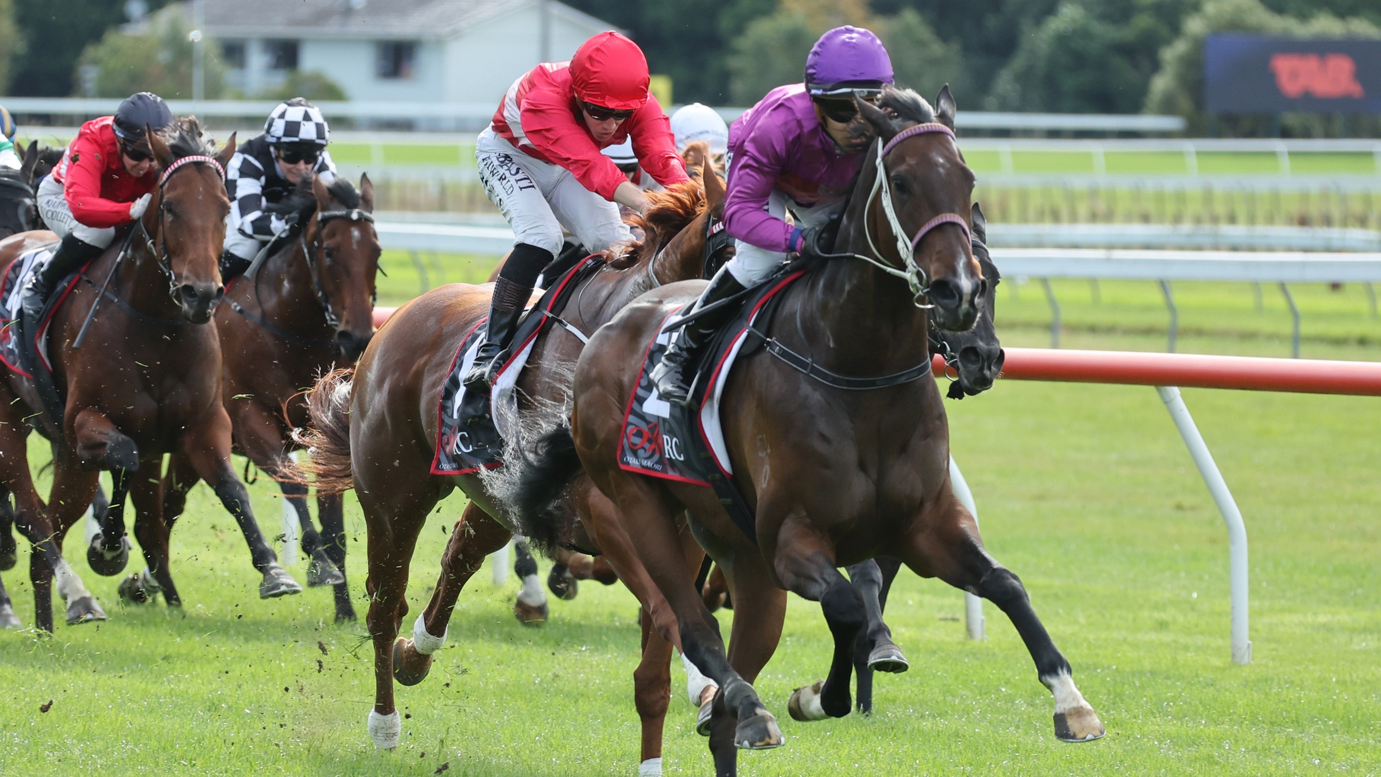 PLATINUM-ATTACK-PETER-RUBERY-RACE-IMAGES