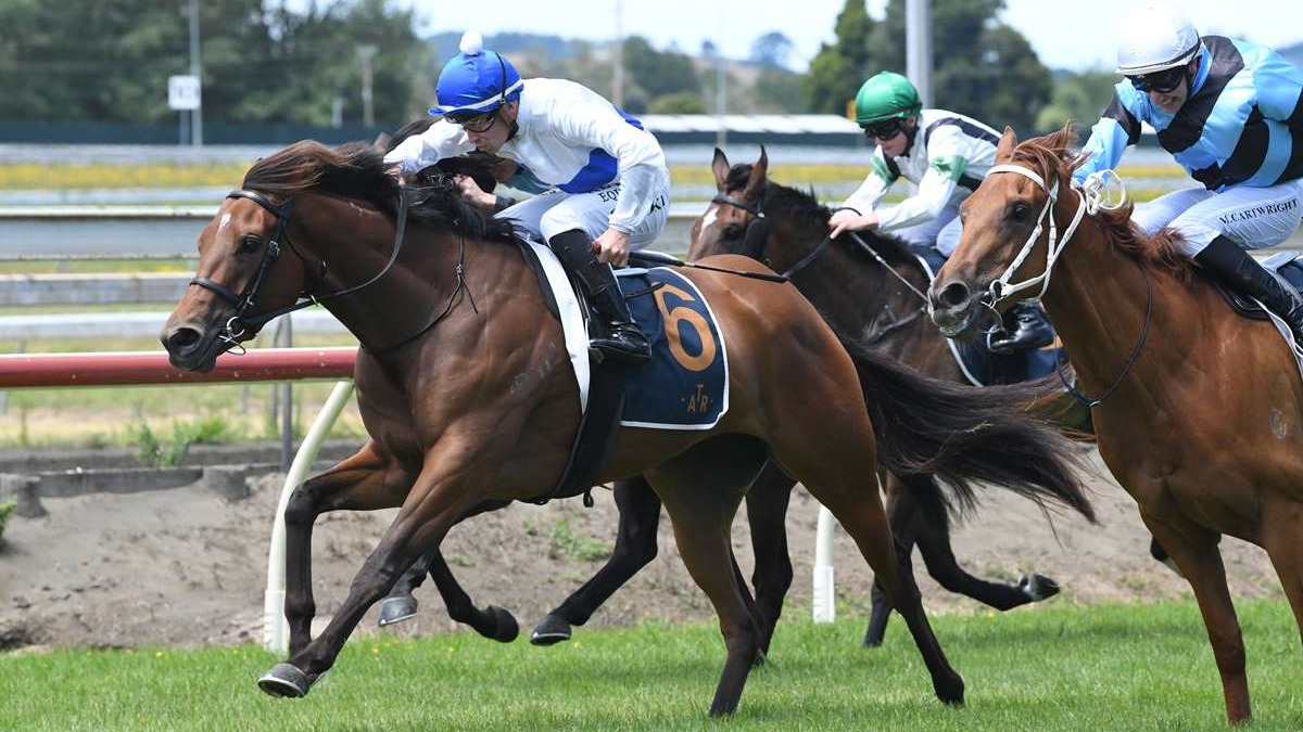 2238957 - TAJANA - AUCKLAND 18-1-2026 RACE IMAGES PHOTO THERESE DAVIS DSC 7070
