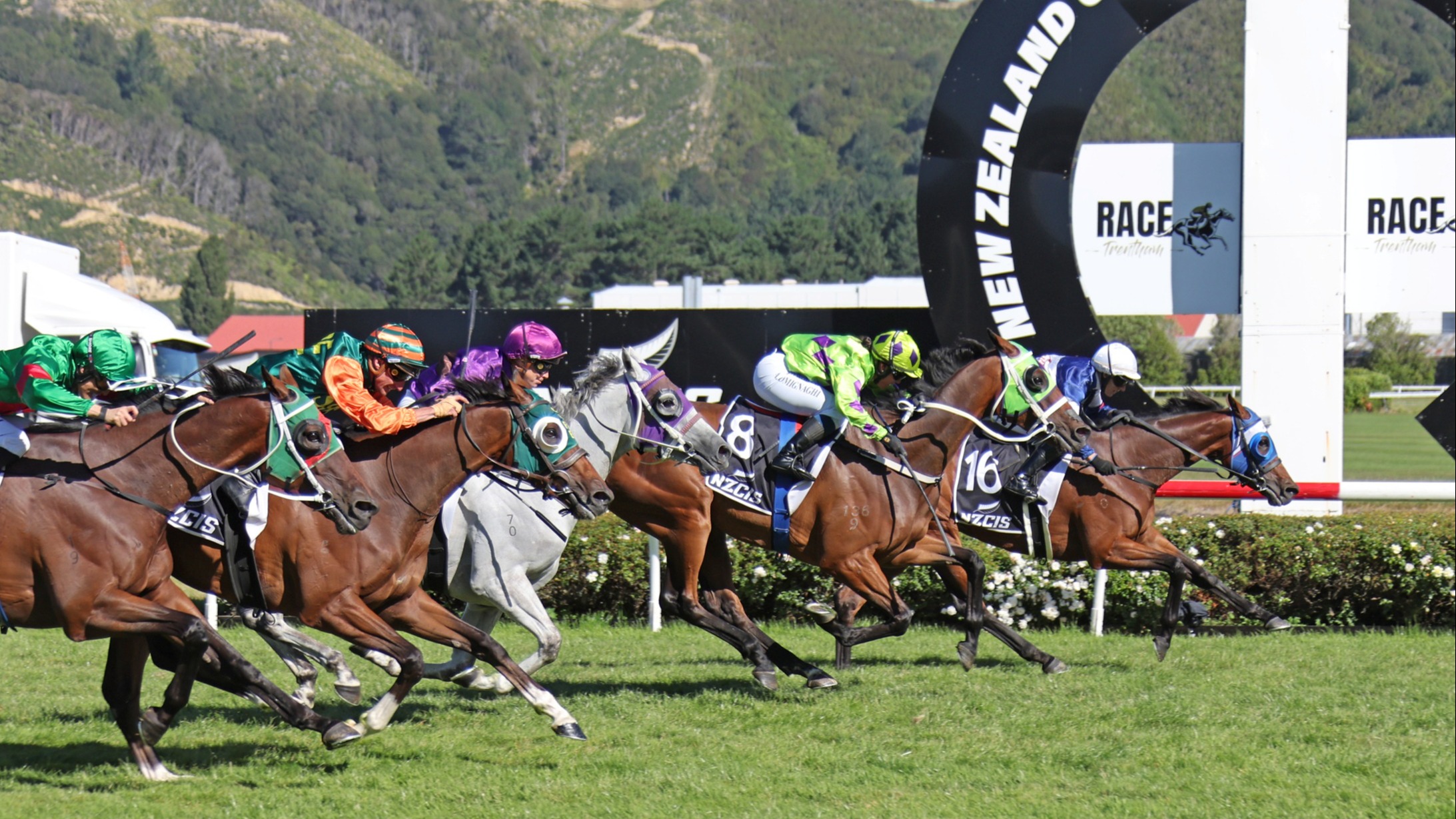 Manzor Rind Melbourne Cup bid on the cards for Manzor Blue