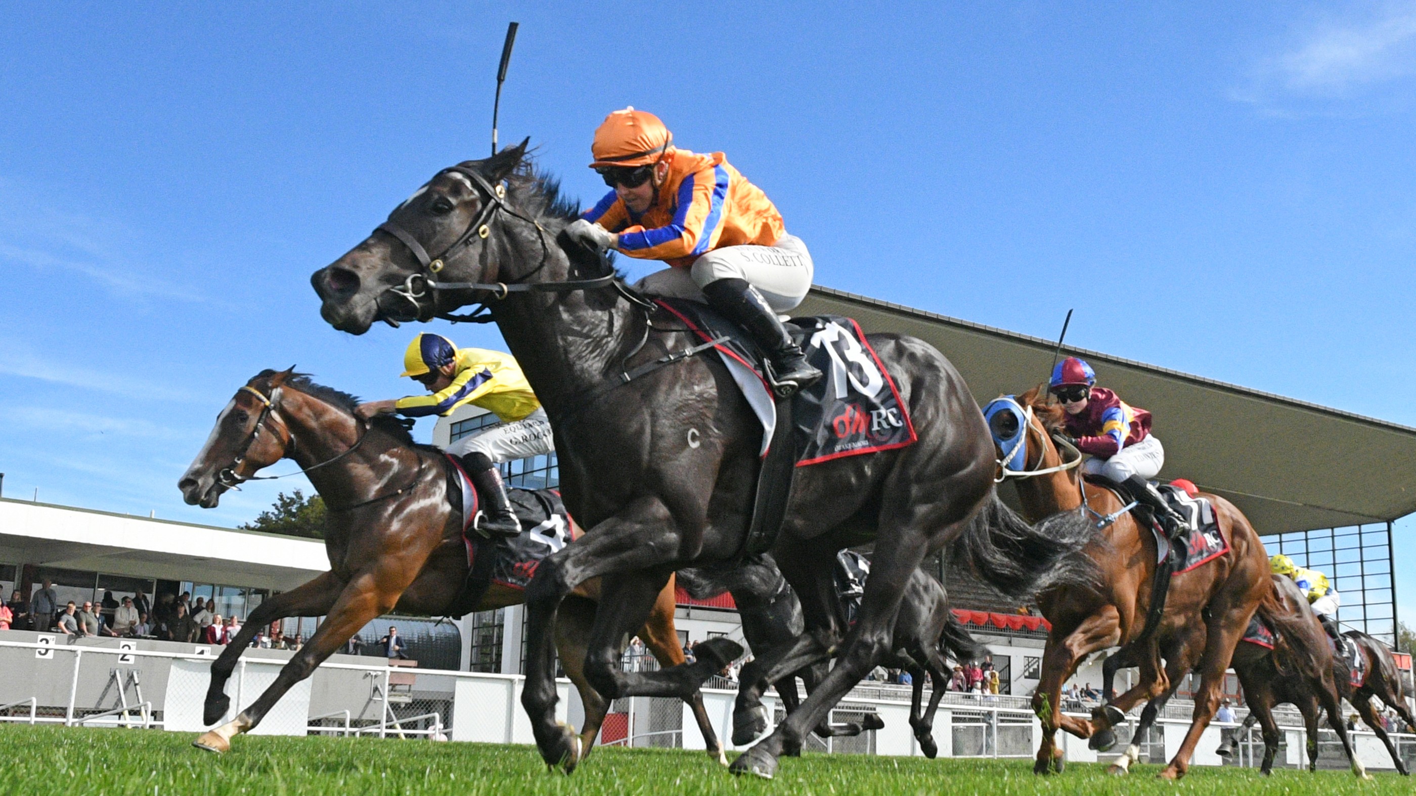 Red Mcfly Races Blueblood filly earns black-type tilt