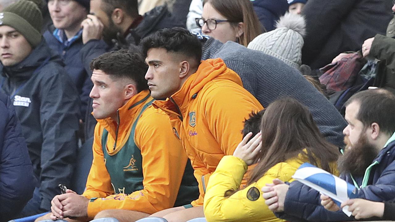 Wallabies