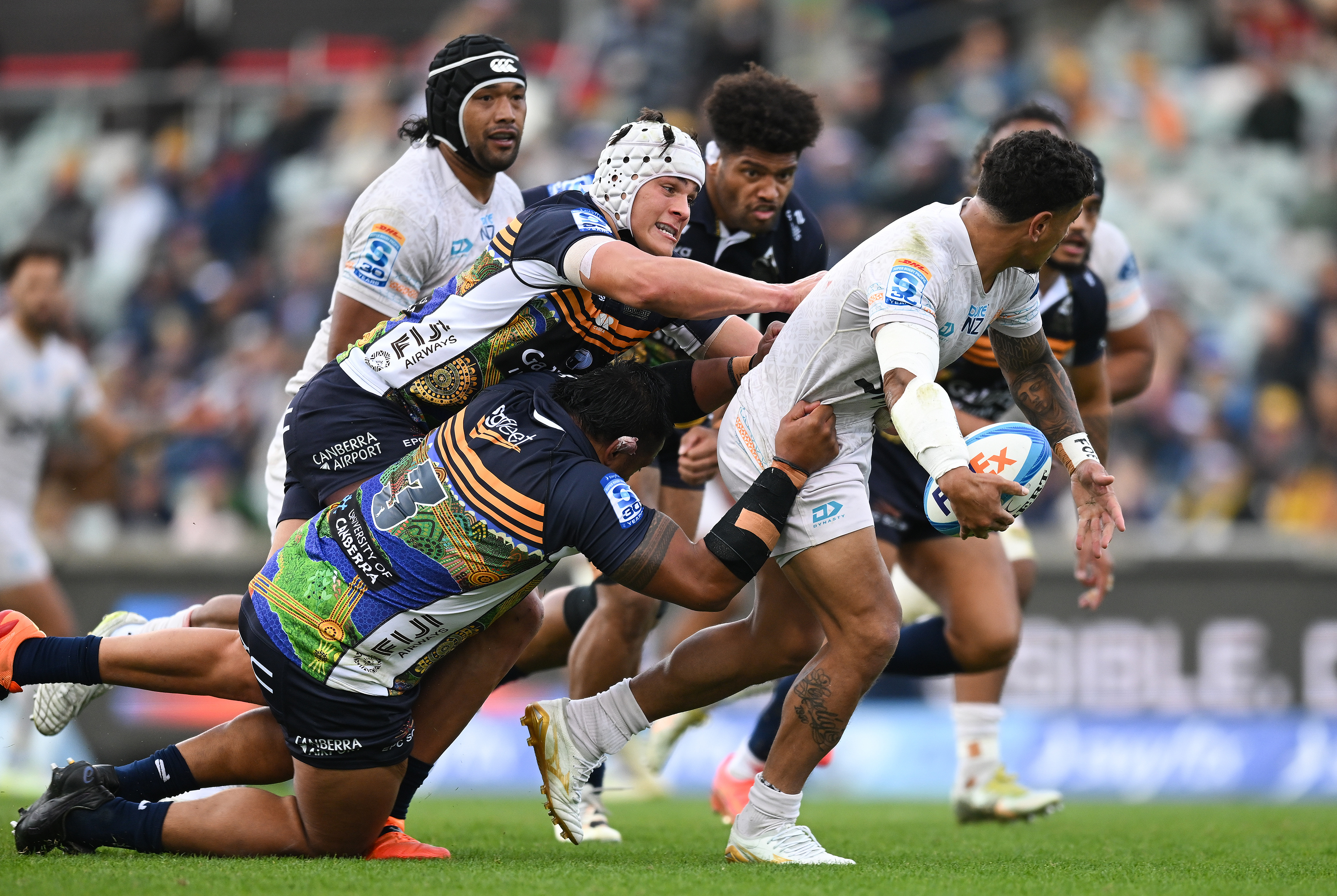 Brumbies and Moana 