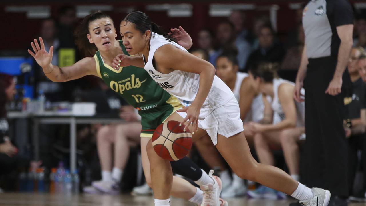 Tall Ferns