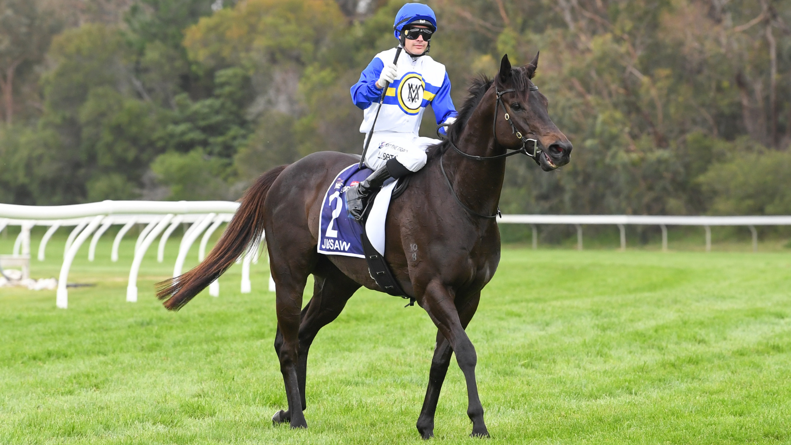 May Races Horse Racing 2025: Jigsaw may race in New Zealand Group 1