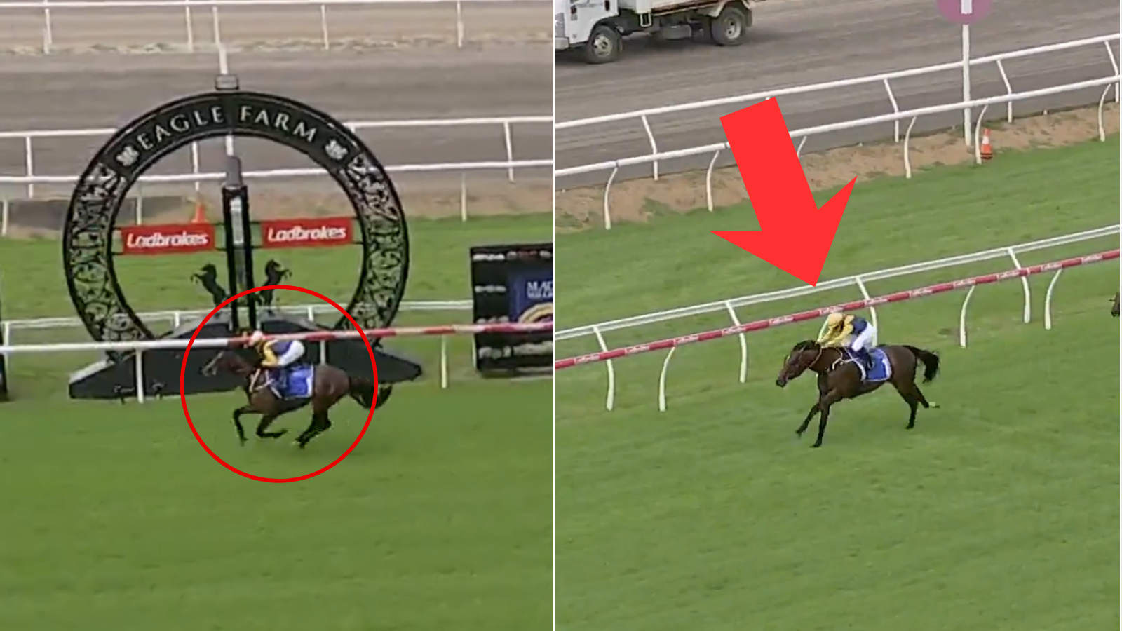 Magic Millions 2026: Tip, odds, Warwoven; favourite