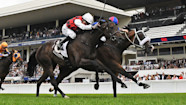 Thrilling Finish To Bonecrusher New Zealand Stakes
