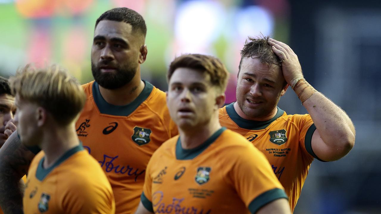 Wallabies