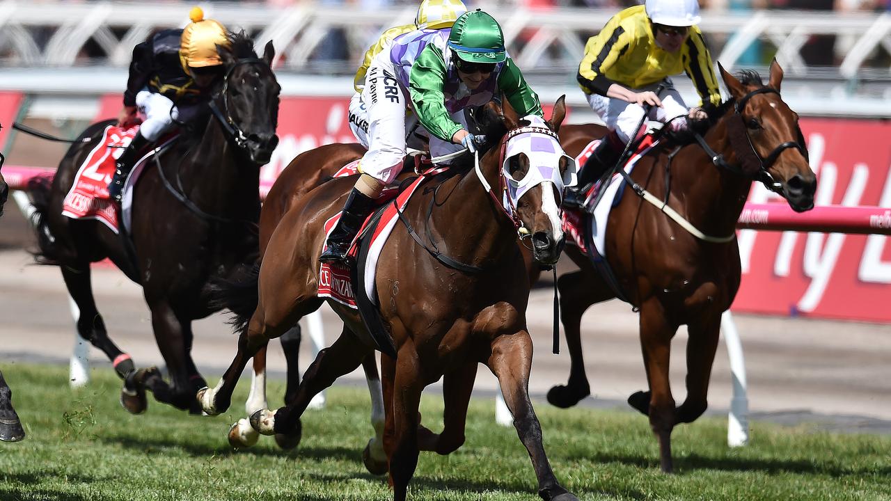 Michelle Payne, 2015 Melbourne Cup