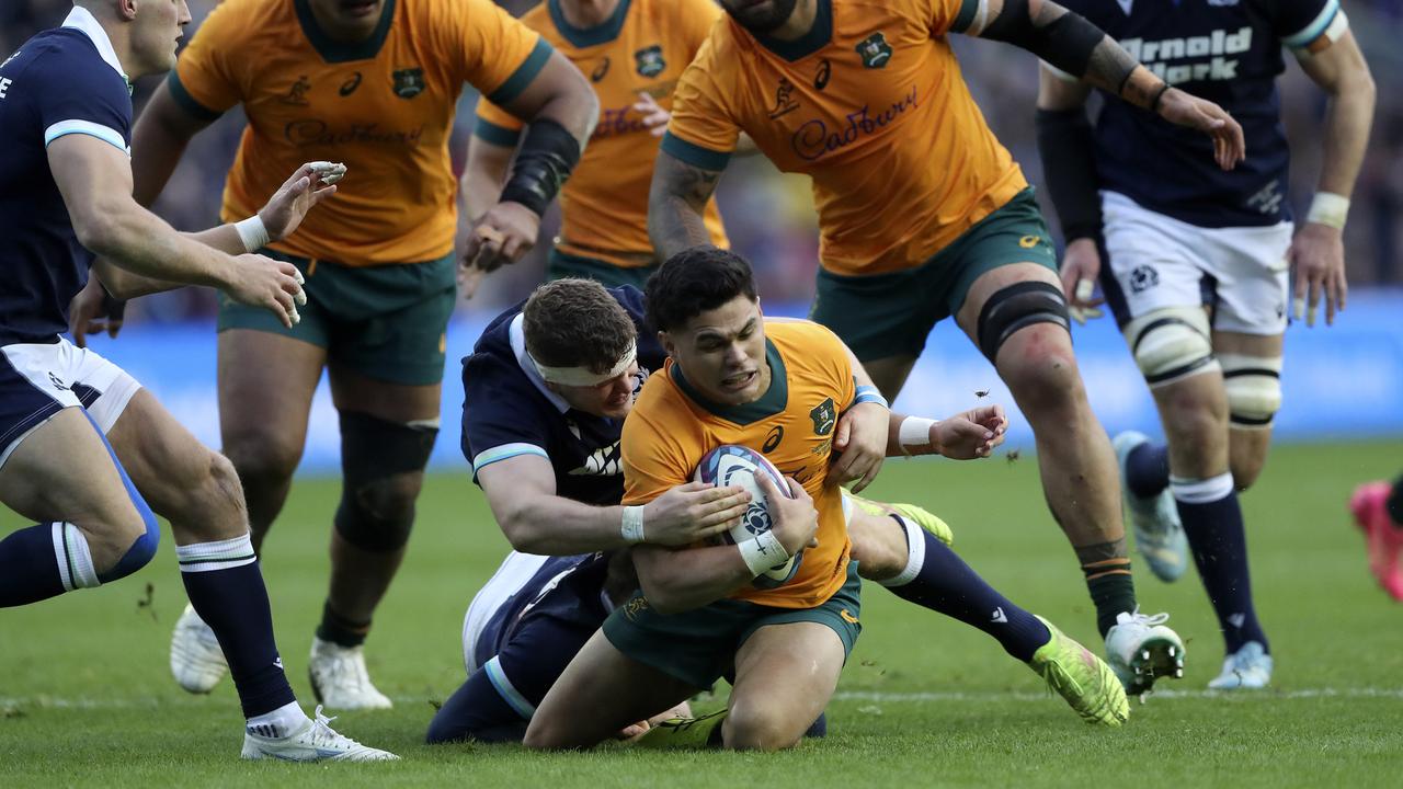 Wallabies