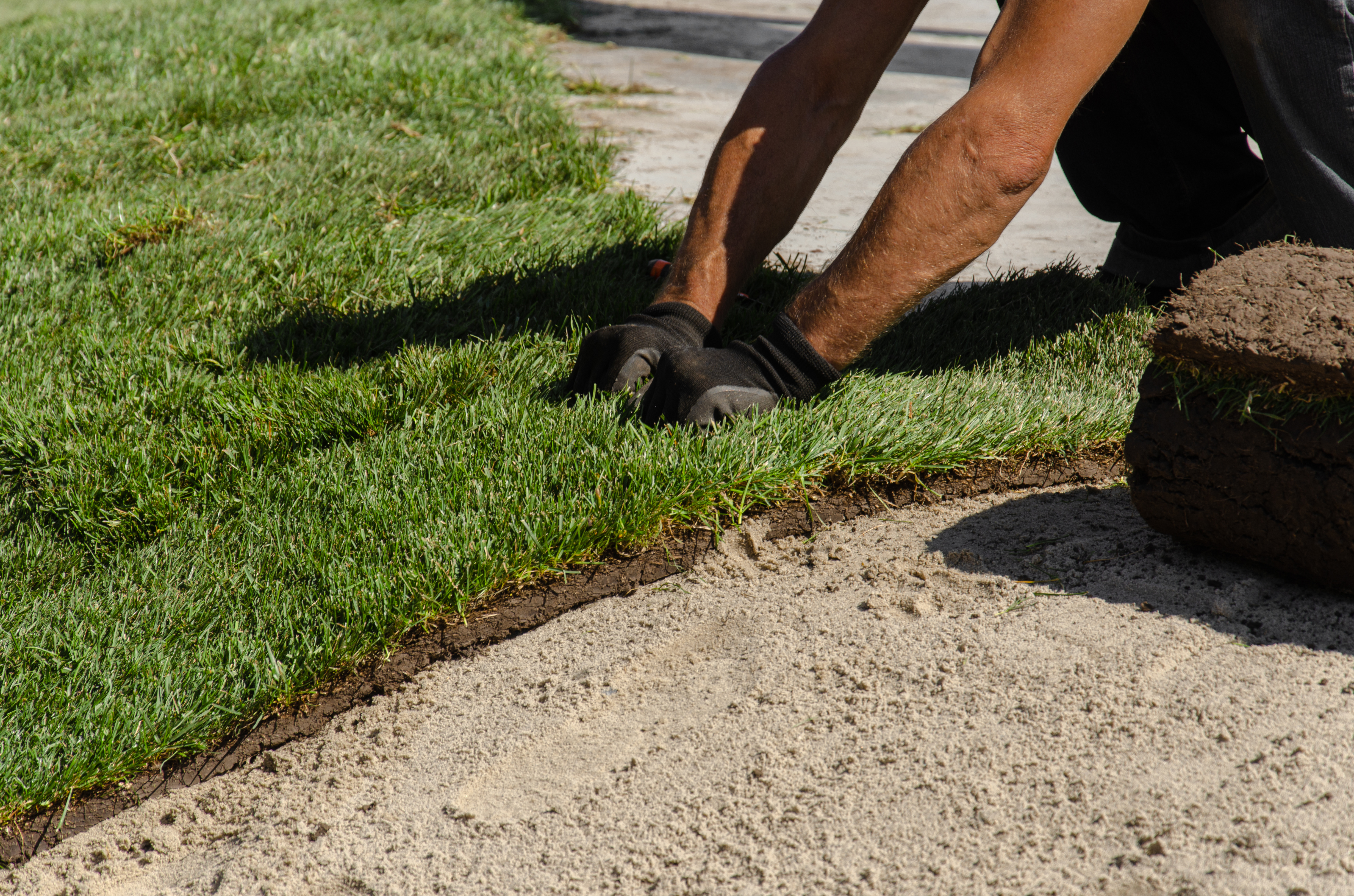 The Landscaping Industry