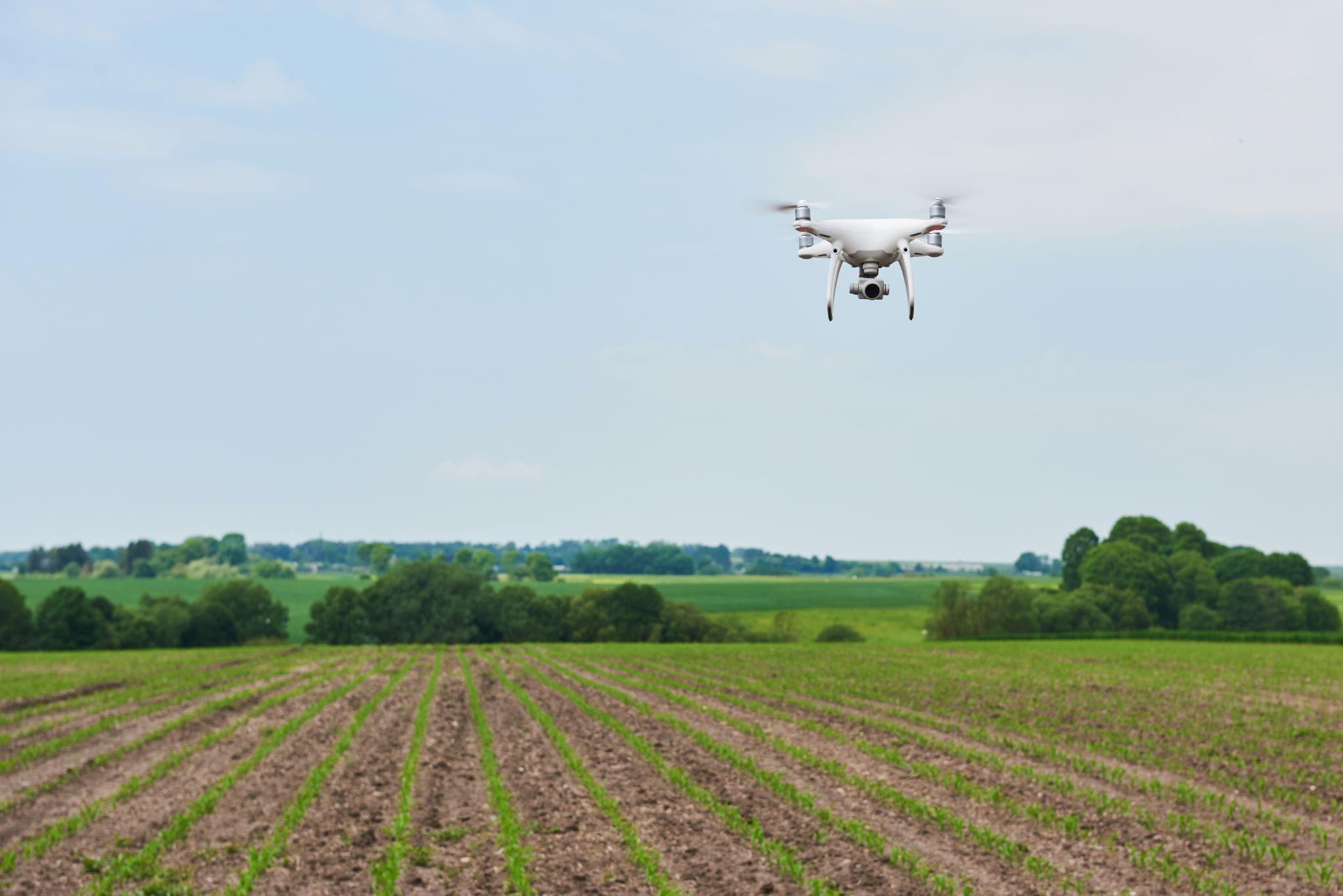 AI in agriculture