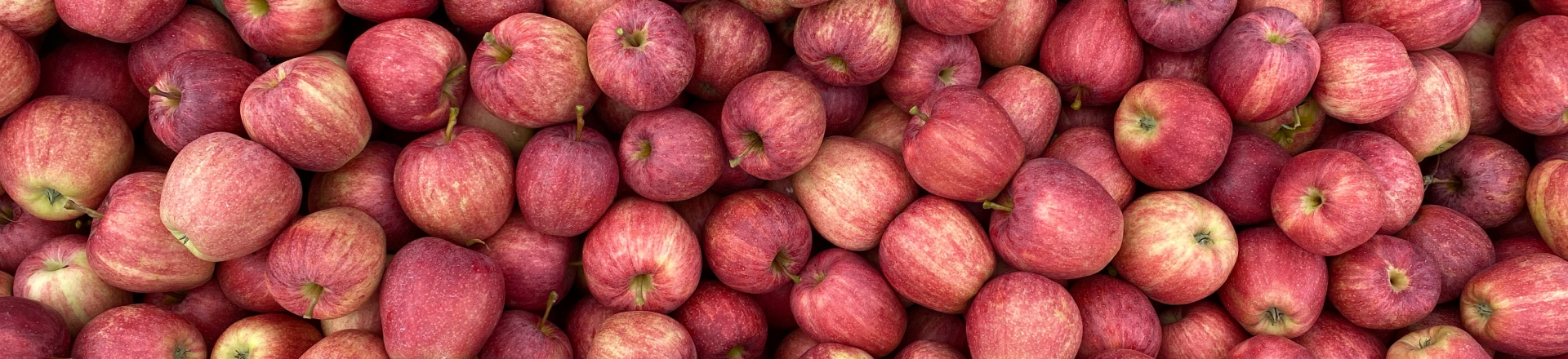 Dešimtys ant vienas kito gulinčių obuolių