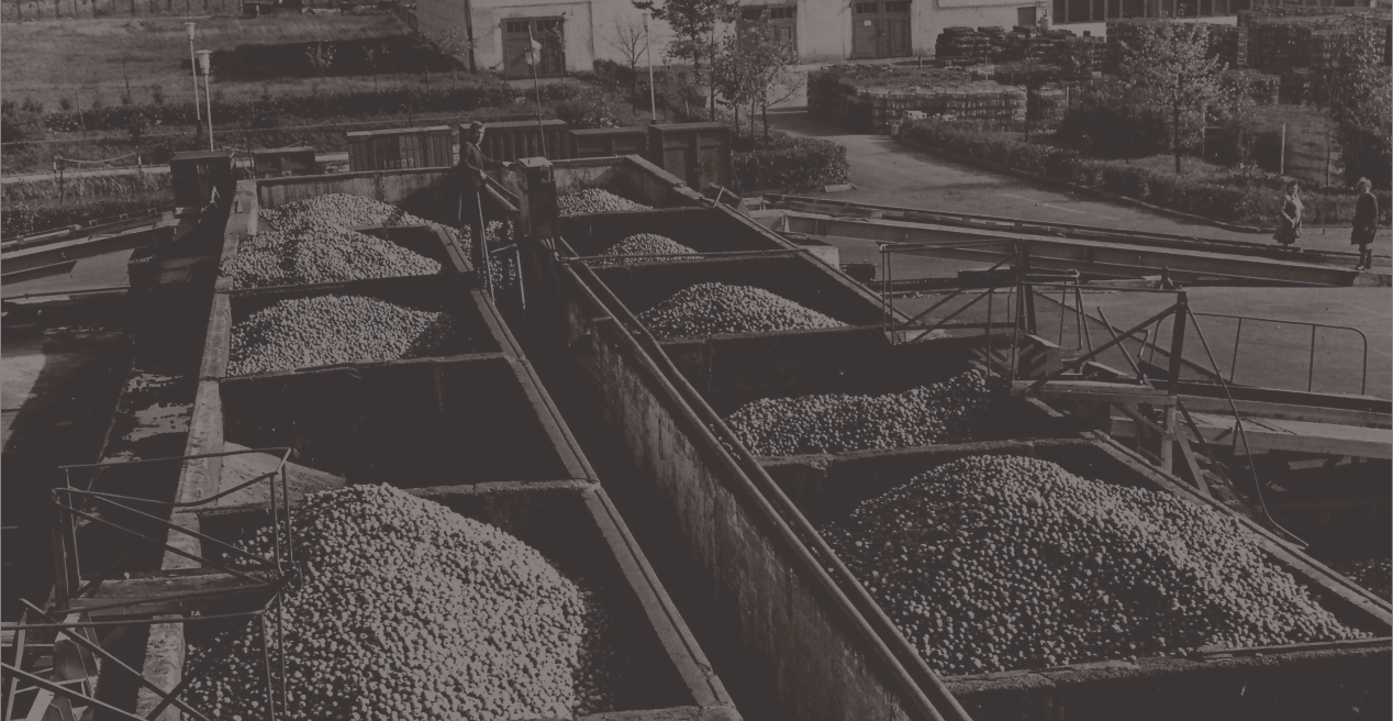 Archyvinė nuotrauka 1984 m.