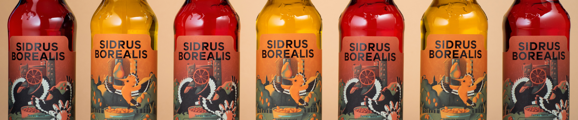 Nuotrauka vaizduojanti Sidrus Borealis sidrus