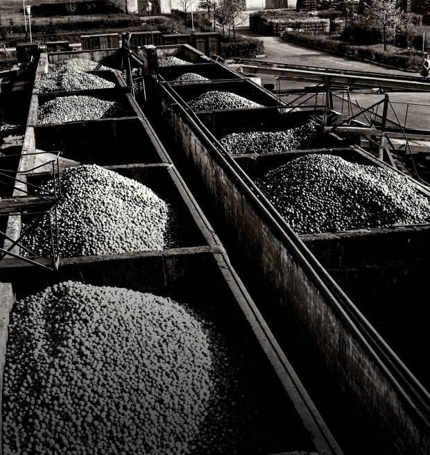 Archival photo from 1984