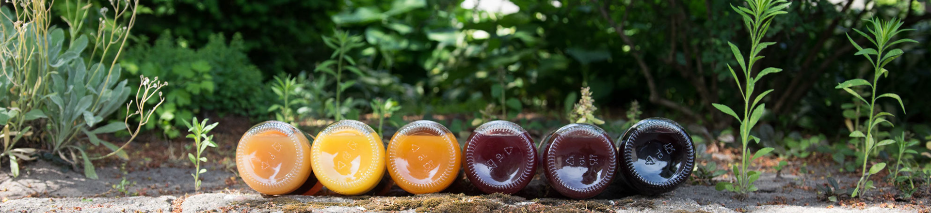 Juices and nectars