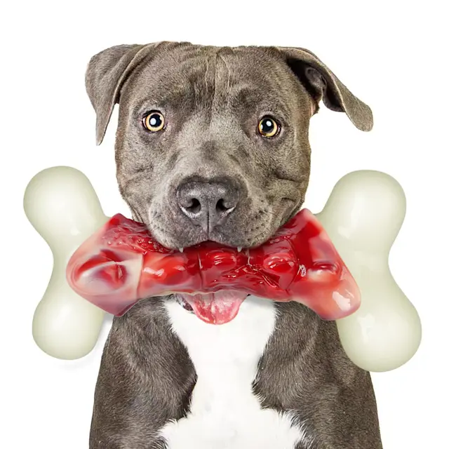 Dog toys