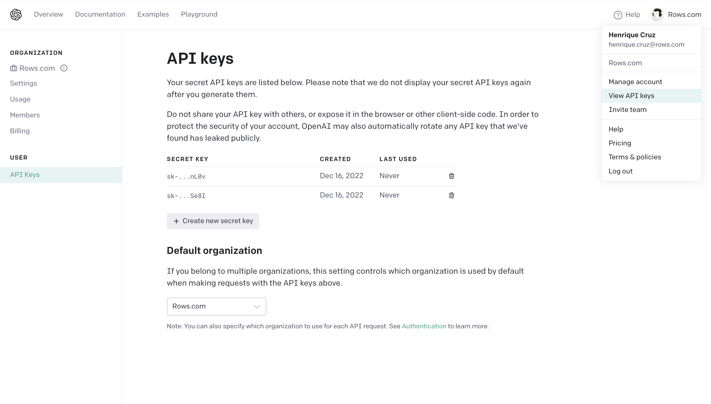 API Key panel in Open AI