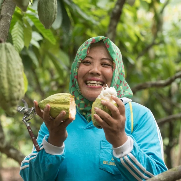 a woman in a headscarf holding a cacao pod