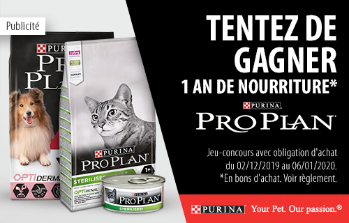 Nourriture Chat Accessoires Pour Chats Boutique Chat Zooplus