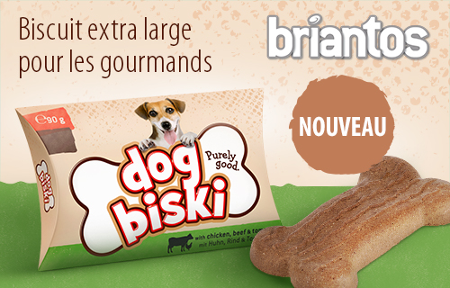 Accessoires Chiens Nourriture Chien Boutique Chien Zooplus