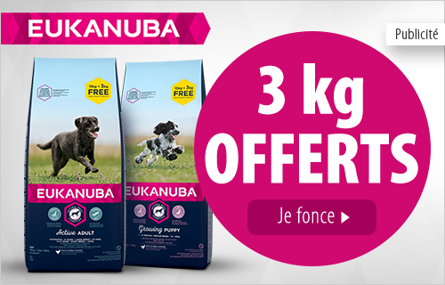 Croquette Chien Croquettes Pour Chien Pas Cher Zooplus