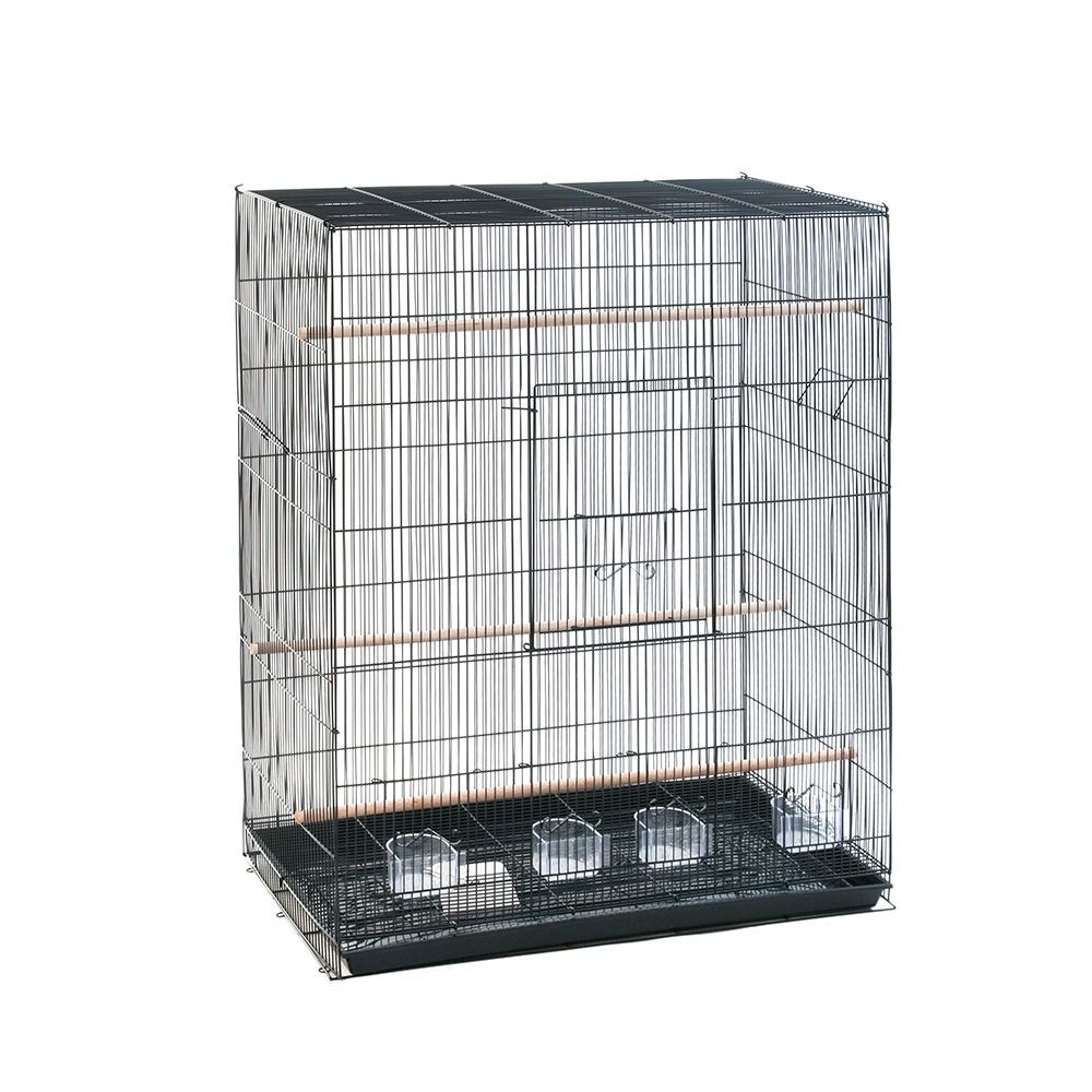 Cage Oiseau De 15 Modèles De Cage Pour Oiseaux Dès 40