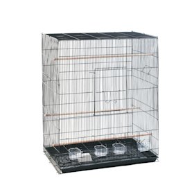 Cage Oiseau De 15 Modèles De Cage Pour Oiseaux Dès 40
