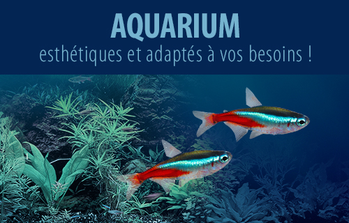 Aquarium De 35 Modèles à Prix Choc Zooplus