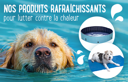 Animalerie En Ligne Nourriture Animaux Et Accessoires Animaux