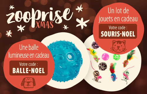 Nourriture Chat Accessoires Pour Chats Boutique Chat Zooplus