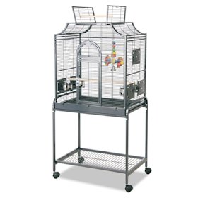 Cage Oiseau De 15 Modèles De Cage Pour Oiseaux Dès 40