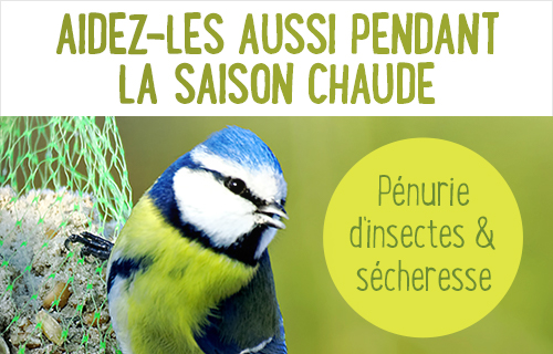 Nourriture Et Accessoires Pour Oiseaux Sauvages Zooplus