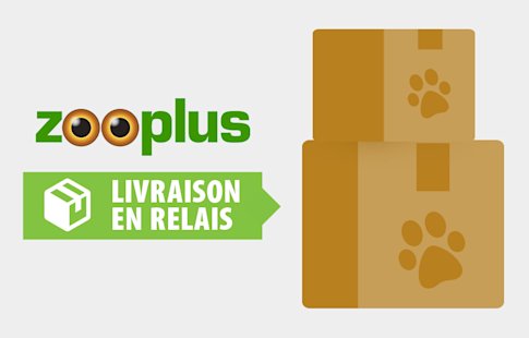 Pratique et rapide